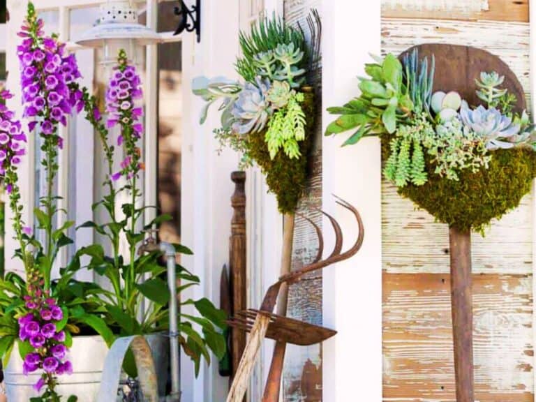 Garden art shovels with succulents resting against the side of the shed.