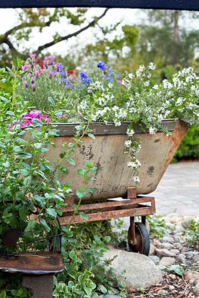 A rusty old mining cart filled with rosemary and lavender is sitting in the garden.