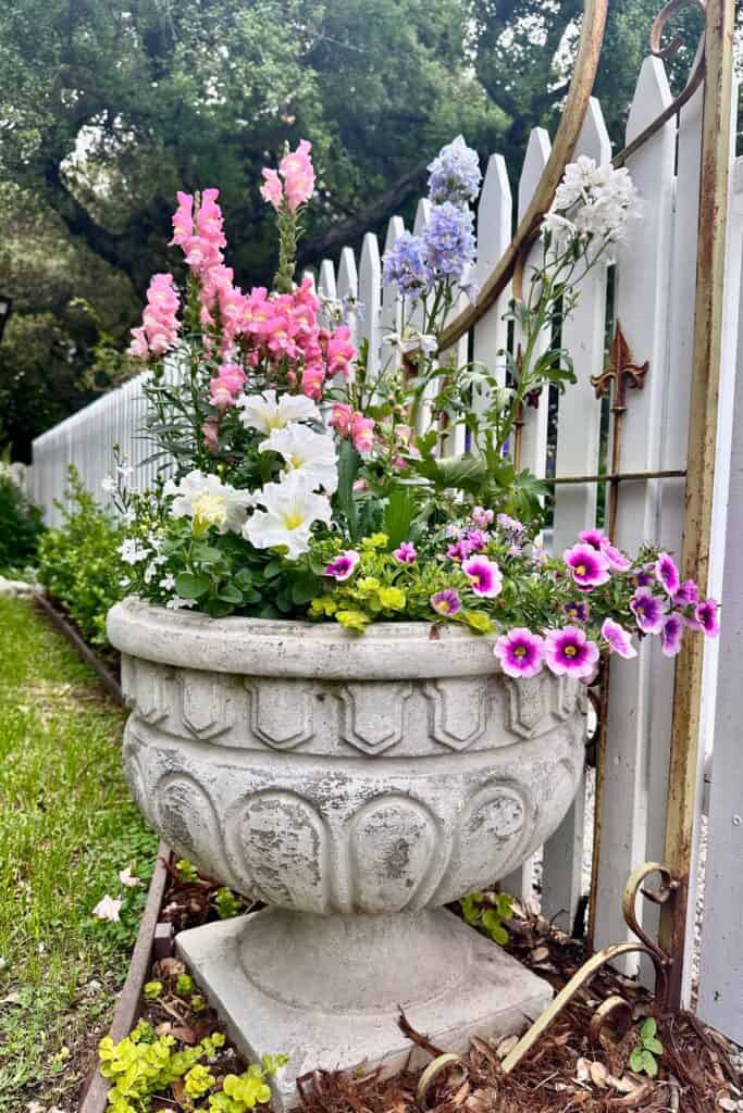 A large cement pot is used as a rustic planter.
