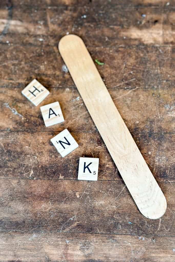 A wooden tongue depressor with scrabble tiles makes name stakes for a planted favor.