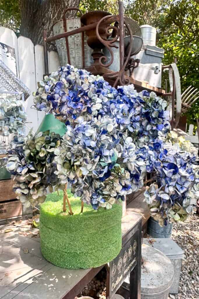 Dyed blue hydrangeas with the stems stuck into a piece of styrofoam to dry. 