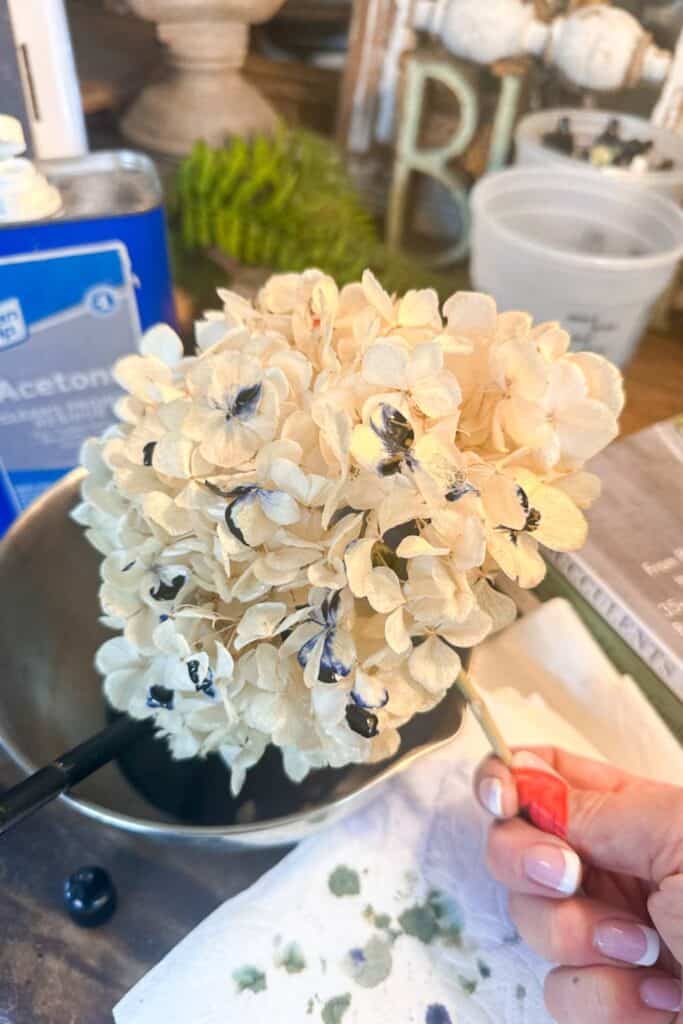 A white dried hydrangea with drops of Cye dropped onto the petals of a soon-to-be blue hydrangea.
