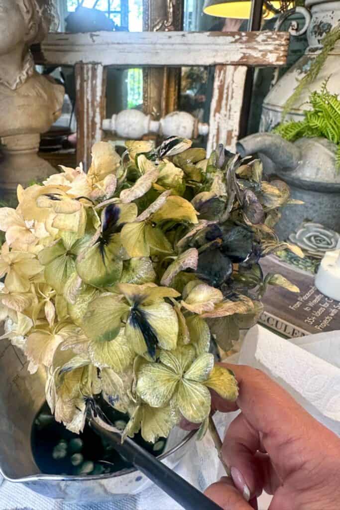 I was showing how the green dye takes to the dried Hydrangea.
