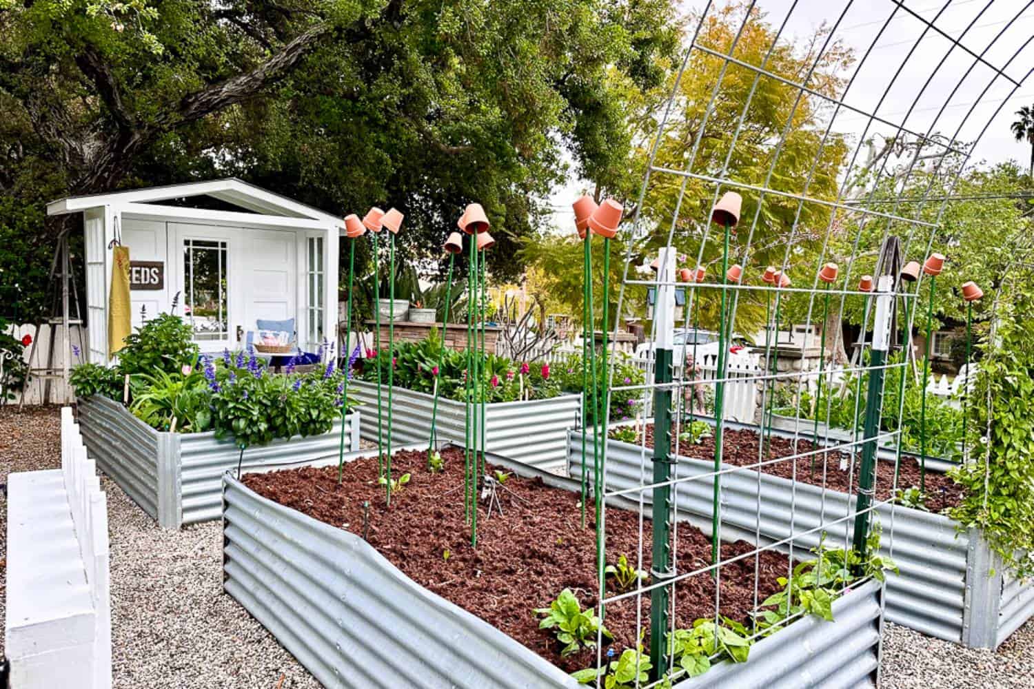 A lush garden with multiple raised metal beds filled with various plants. Tall stakes with clay pots on top support the plants. A small white shed labeled "SEEDS" stands in the background, surrounded by trees and a white picket fence.