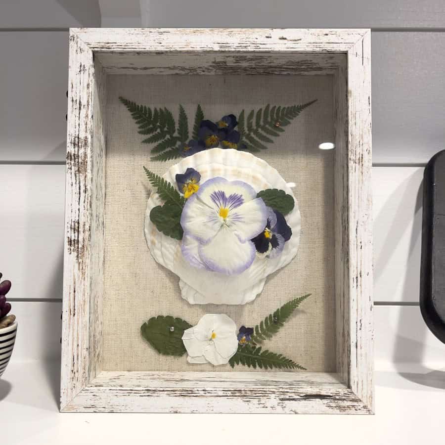 Framed pressed flowers 