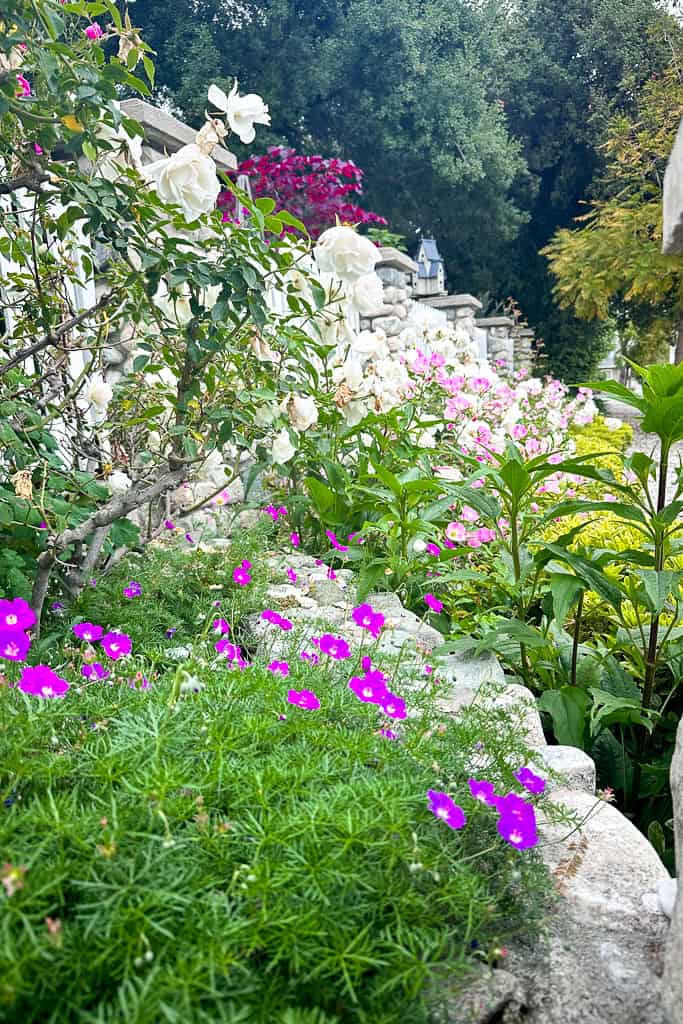 A vibrant garden is in full bloom, featuring an array of colorful flowers including white roses, pink blooms, and bright purple flowers. The flowers are set against a backdrop of lush greenery and a stone wall, with trees in the background.