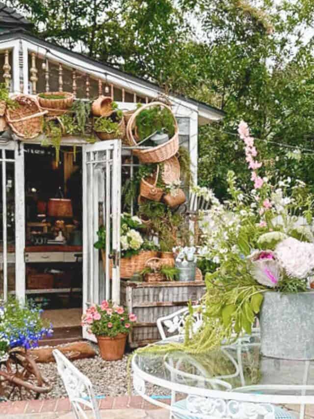 Summer shed feature image with basket arch.