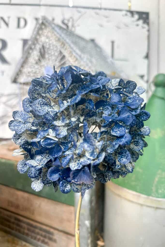 Spray-painted blue hydrangea.