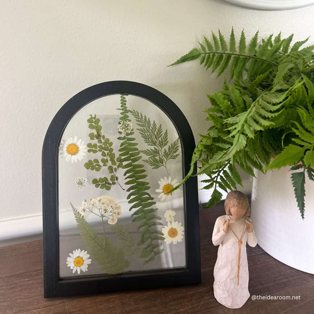 Pressed flowers in a frame 