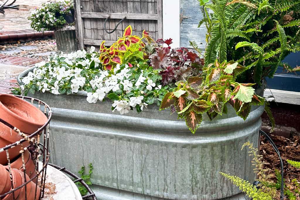 A galvanized metal tub filled with a variety of colorful plants, including white flowers, purple leaves, and green leafy plants, sits on a patio beside a rustic wooden wall. Nearby, a wire basket holds terracotta pots. In the background, there's a blue wooden structure.