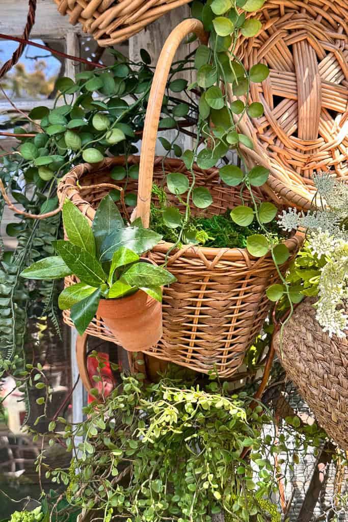 An image of a flower pot hanging from a basket on the basket arch around the vintage shed doors. 