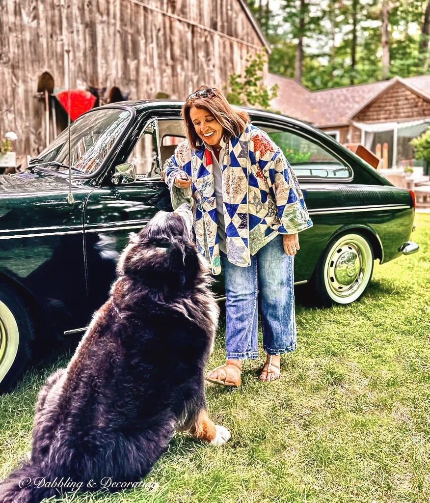 Vintage car with dog 