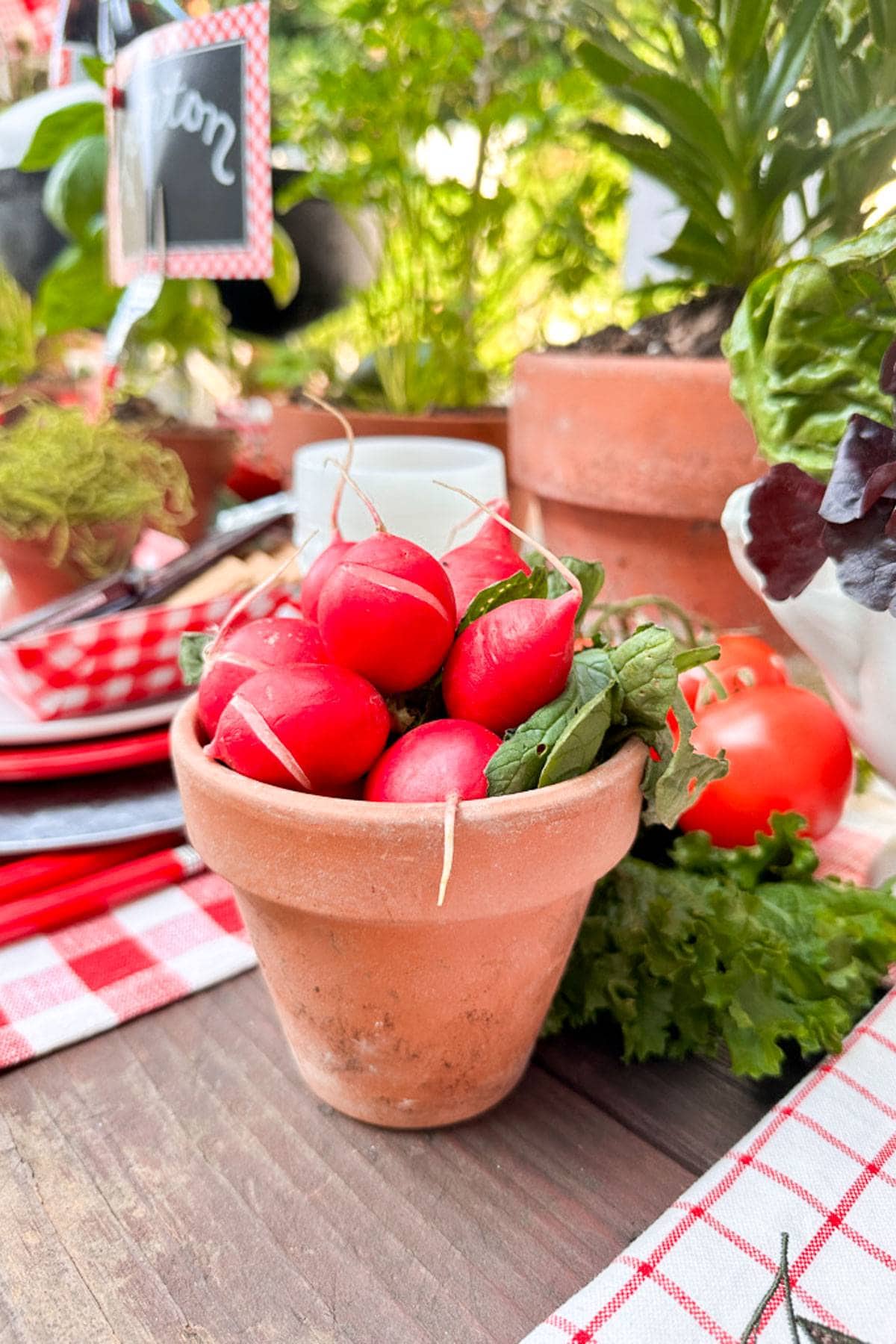 A terra cotta pot of radishes helps to decorate a summer tablescape with other vegetables. and decor.