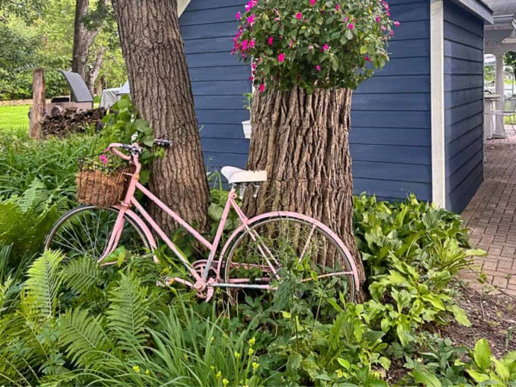 pink vintage bike of living large in a small house