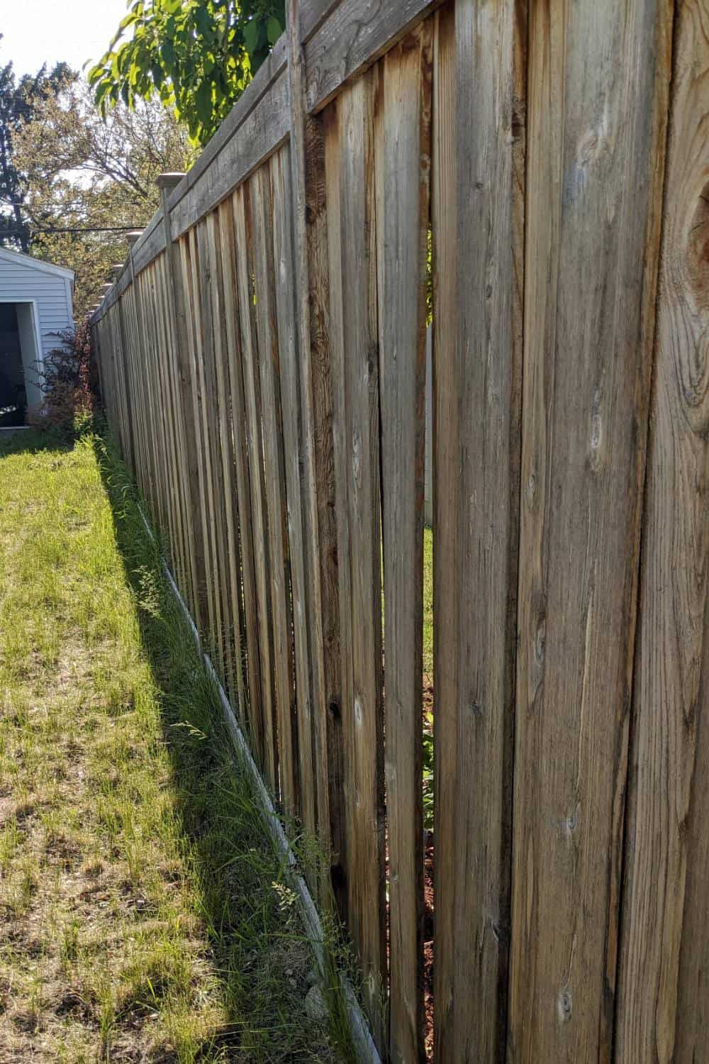 Old cedar fence