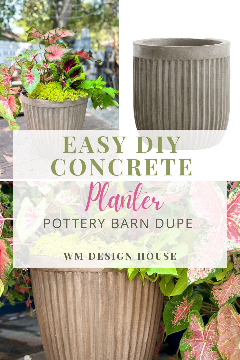 DIY concrete planter with fluted flower pots 