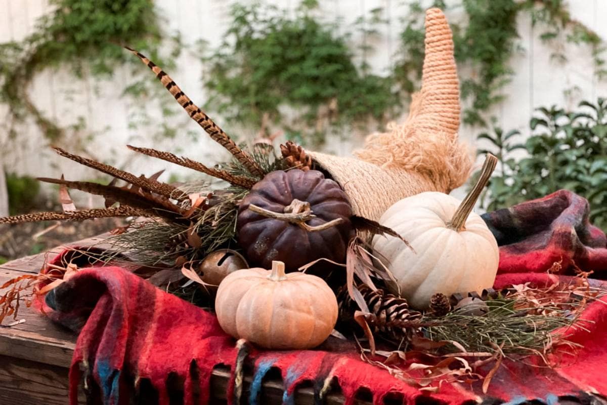 A cozy autumn scene featuring a cornucopia spilling out a mixture of pumpkins and gourds in various colors, dried leaves, pinecones, and pheasant feathers. The cornucopia rests on a wooden surface draped with a red plaid blanket, with a white fence and greenery in the background.