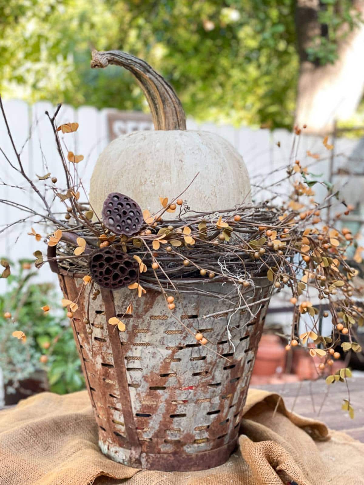 A rustic white pumpkin arranged atop a weathered, antique basket adorned with a nest of dried twigs, berries, and seed pods. The backdrop features a wooden fence and greenery, suggesting an outdoor, autumn-themed setting.