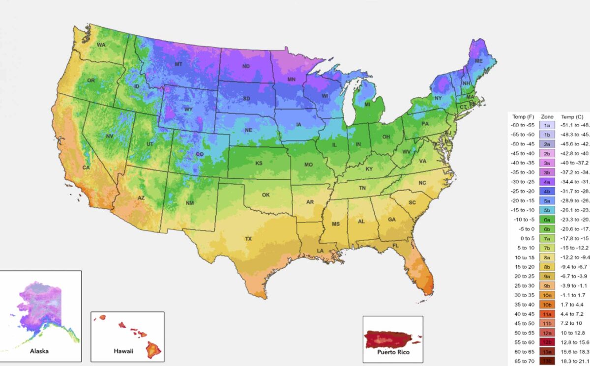 Map of the U.S. showing USDA hardiness zones by color, ranging from colder zones in the north (purple/blue) to warmer zones in the south (yellow/red); useful for answering questions like "Are Dahlias Perennials?" Includes Alaska, Hawaii, and Puerto Rico insets.