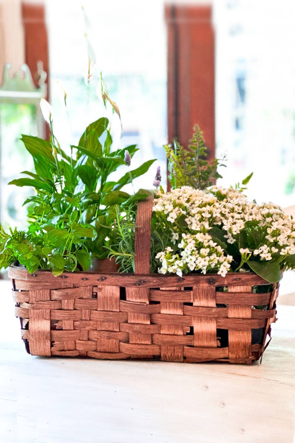 A rectangular woven basket with a handle, filled with various green plants and clusters of white flowers, sits on a white surface. The background is bright and softly blurred, suggesting an indoor setting with natural light streaming in.