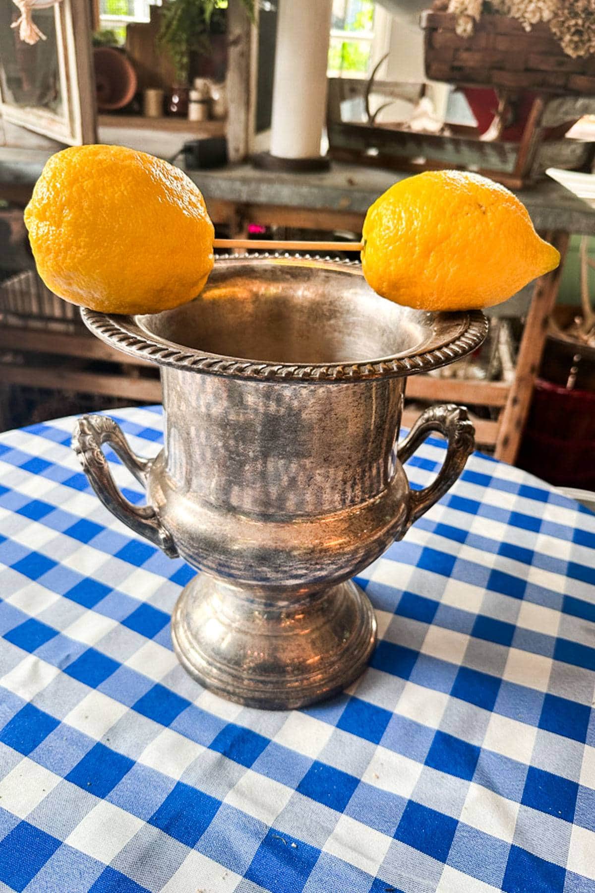 A vintage silver ice bucket with two lemons on top connected with a skewer. This is the beginning stages of making a DIY lemon Centerpiece. 