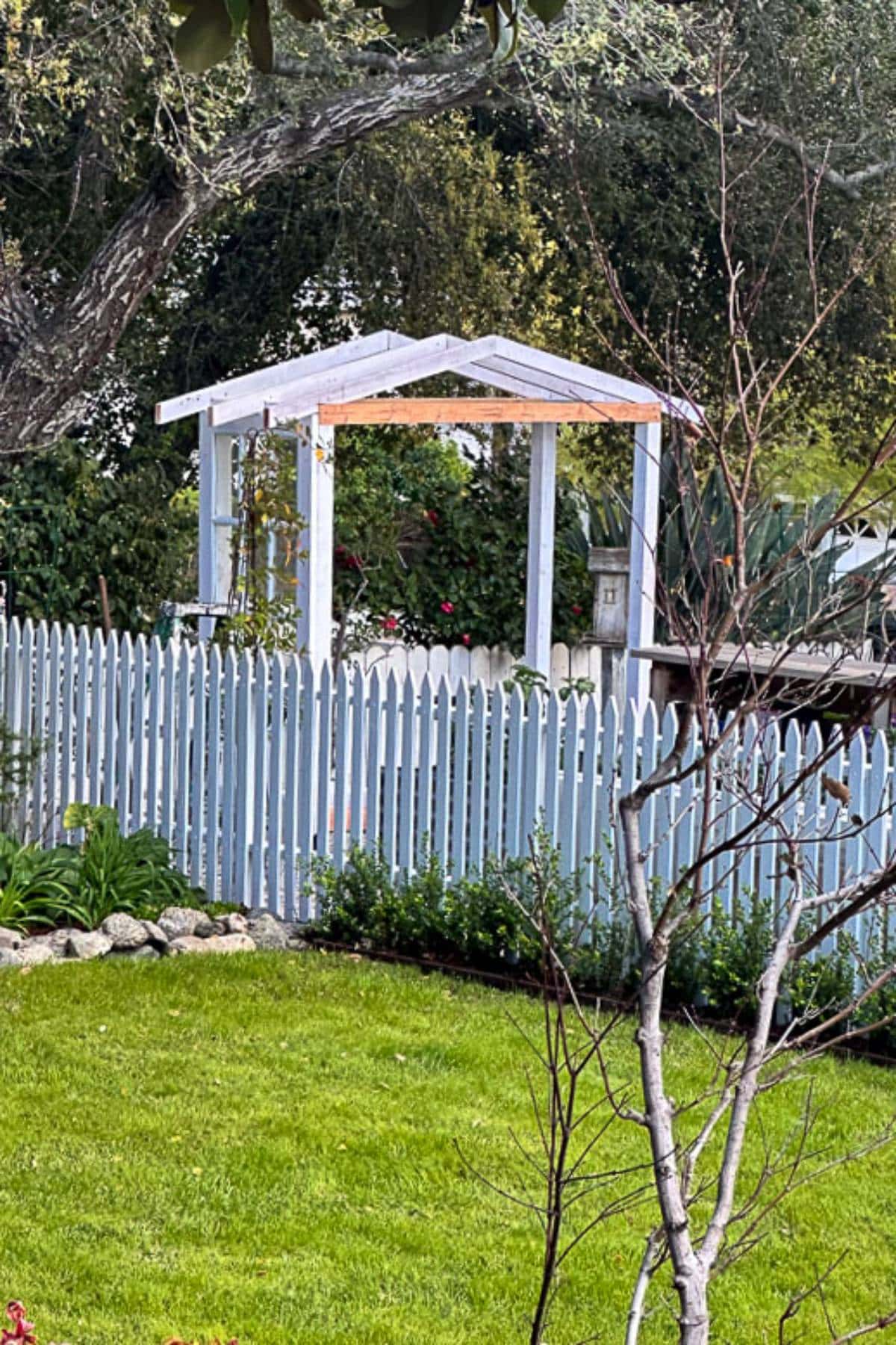 A tranquil garden scene featuring a white pergola surrounded by a light blue picket fence. Green grass and plants adorn the yard, and large trees provide a lush backdrop. A small structure and some foliage can be seen behind the pergola.