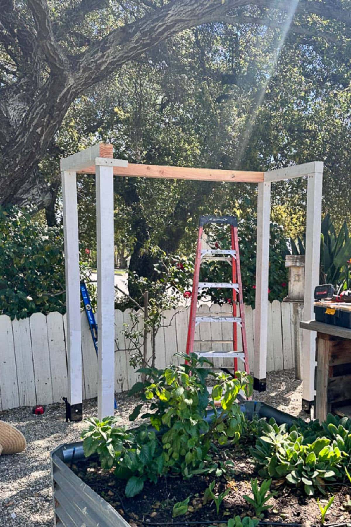 A garden scene with a large tree in the background. In the foreground, there is an unfinished wooden structure, a red ladder, and various tools. The area includes a raised garden bed with thriving green plants and a white picket fence in the background.