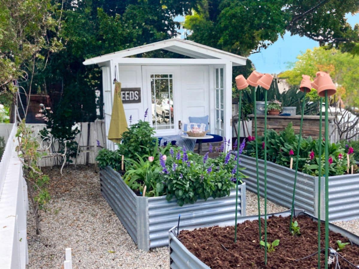 A quaint garden with raised metal beds filled with green plants and flowers. A small white shed stands at the back labeled "SEEDS," made of wooden doors. A table and chairs are placed in front of the shed, and several tall poles with terracotta pots on top are in the foreground, perfect for those looking to build a garden bench nearby.