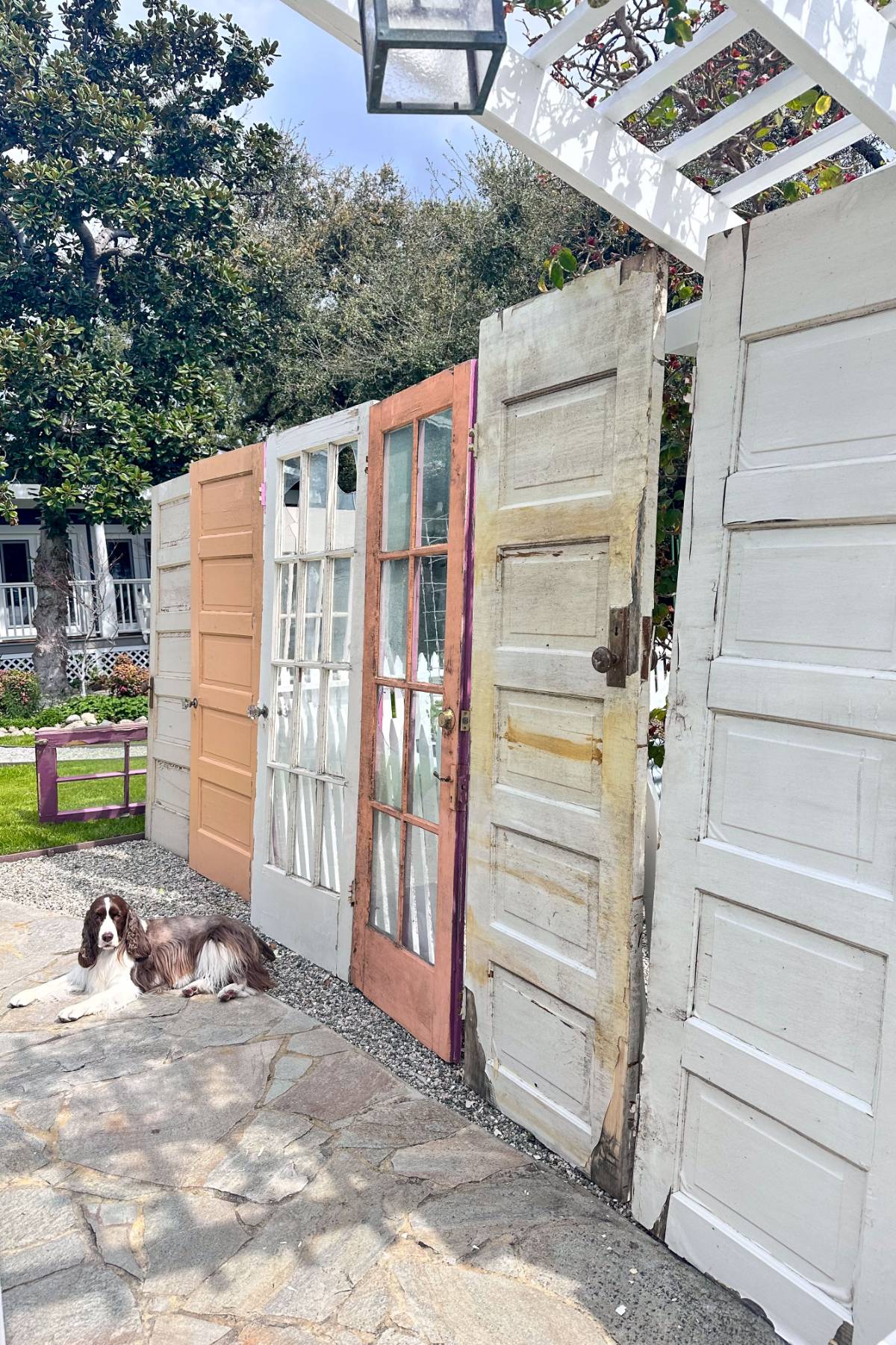 A dog rests on a stone pathway beside an eclectic outdoor wall made of various repurposed doors in different styles and colors. Lush greenery and a large tree are visible in the background, under a clear sky.