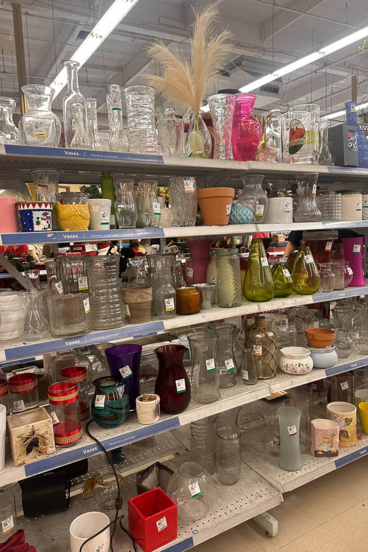 Store shelves filled with an assortment of vases, flower pots, and decorative jars of various shapes, sizes, and colors, including clear glass, red, purple, green, and pink. Some vases contain decorative items like pampas grass.