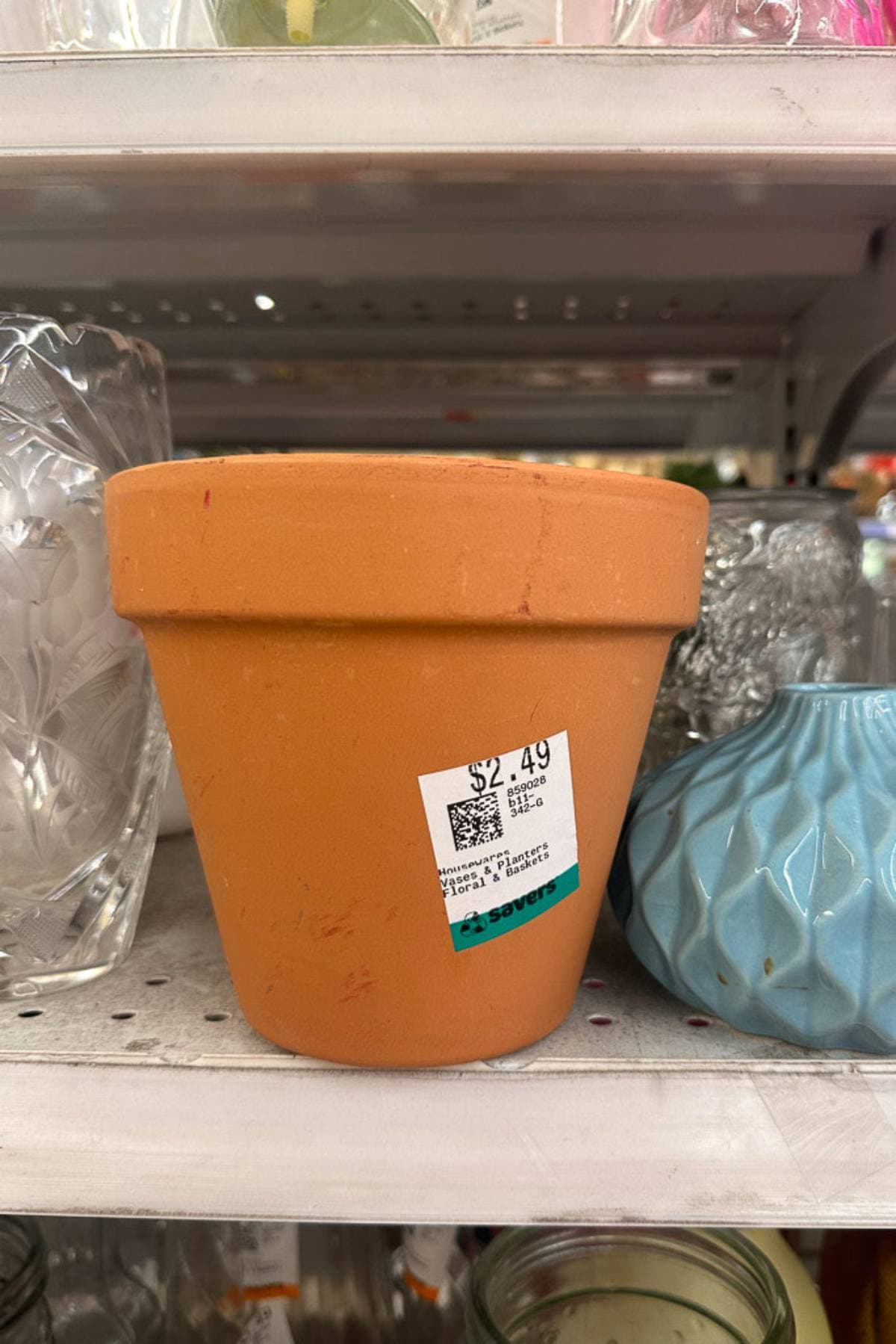 A small terra cotta pot with a price tag of $2.49 on a store shelf. The pot is surrounded by other decorative glass and ceramic items, including a blue, faceted vase on the right.