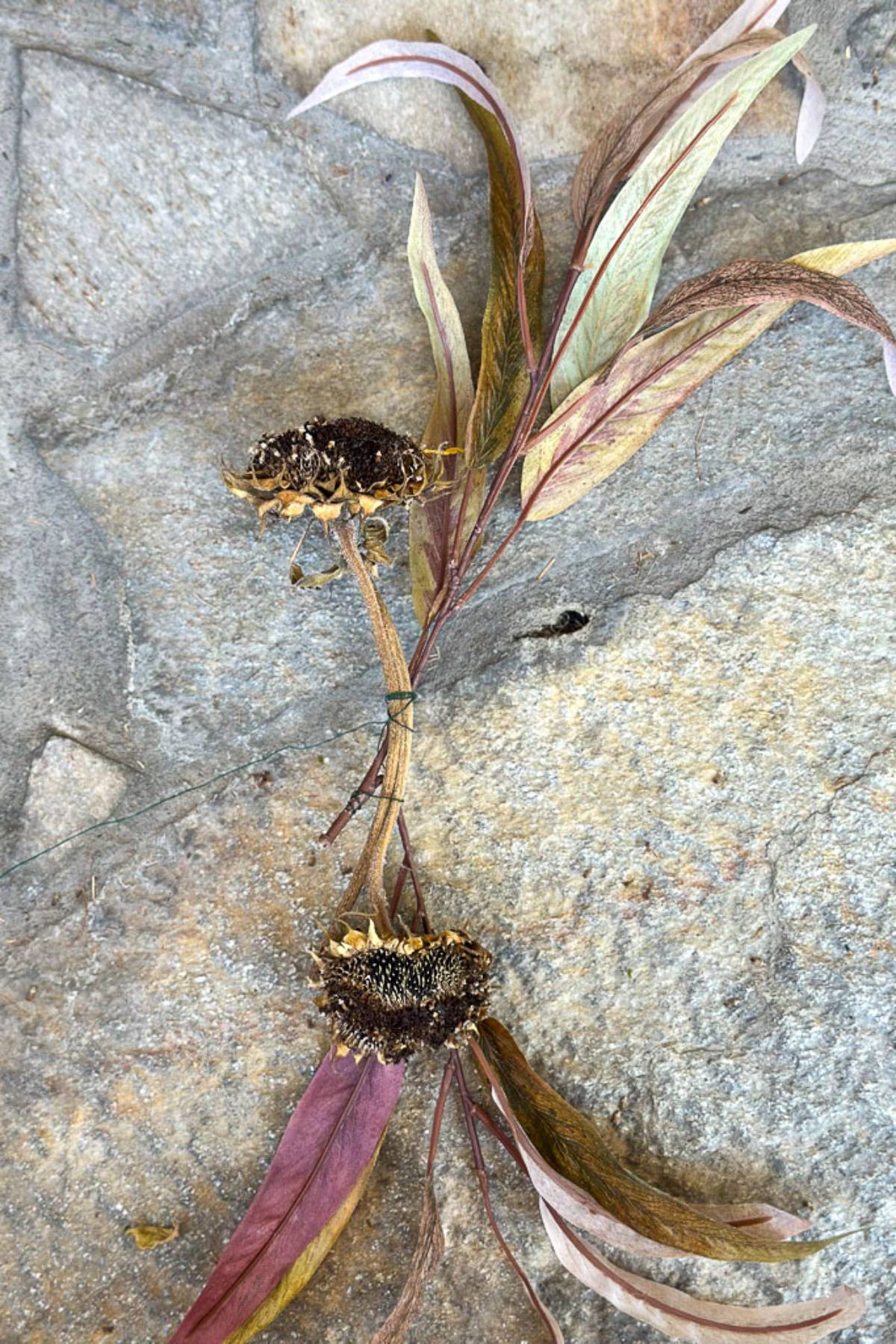 A bundle of dried flowers and leaves laid on a stone surface. The two dark, seed-filled flower heads are surrounded by long, narrow, faded leaves in shades of brown, green, and purple. The stems are loosely tied together with thin green wire.