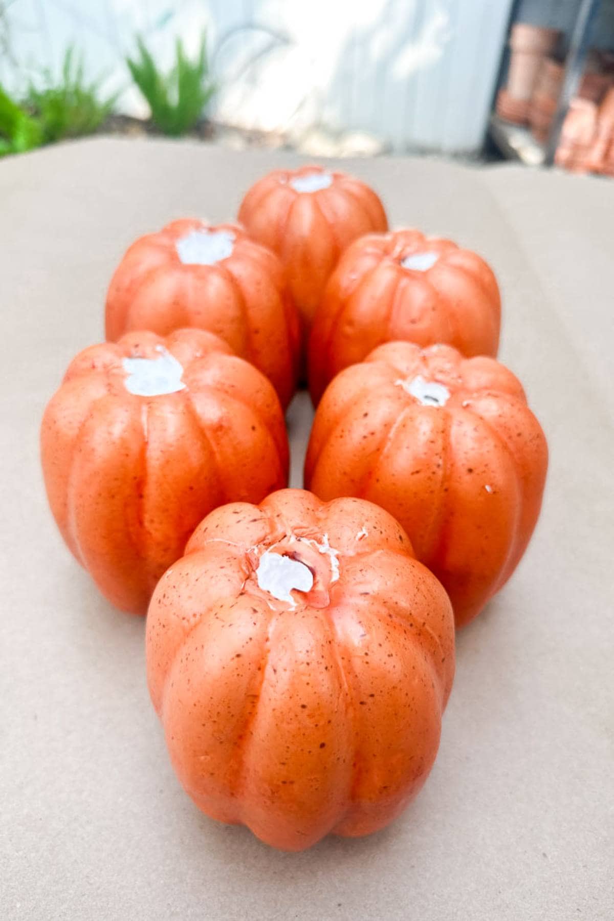 Six small orange pumpkins are arranged on a flat surface outdoors, their slightly bumpy textures and white spots subtly highlighted by soft, natural light. Perfect as DIY Halloween place card holders, they add a touch of festive charm to any Halloween table setting.