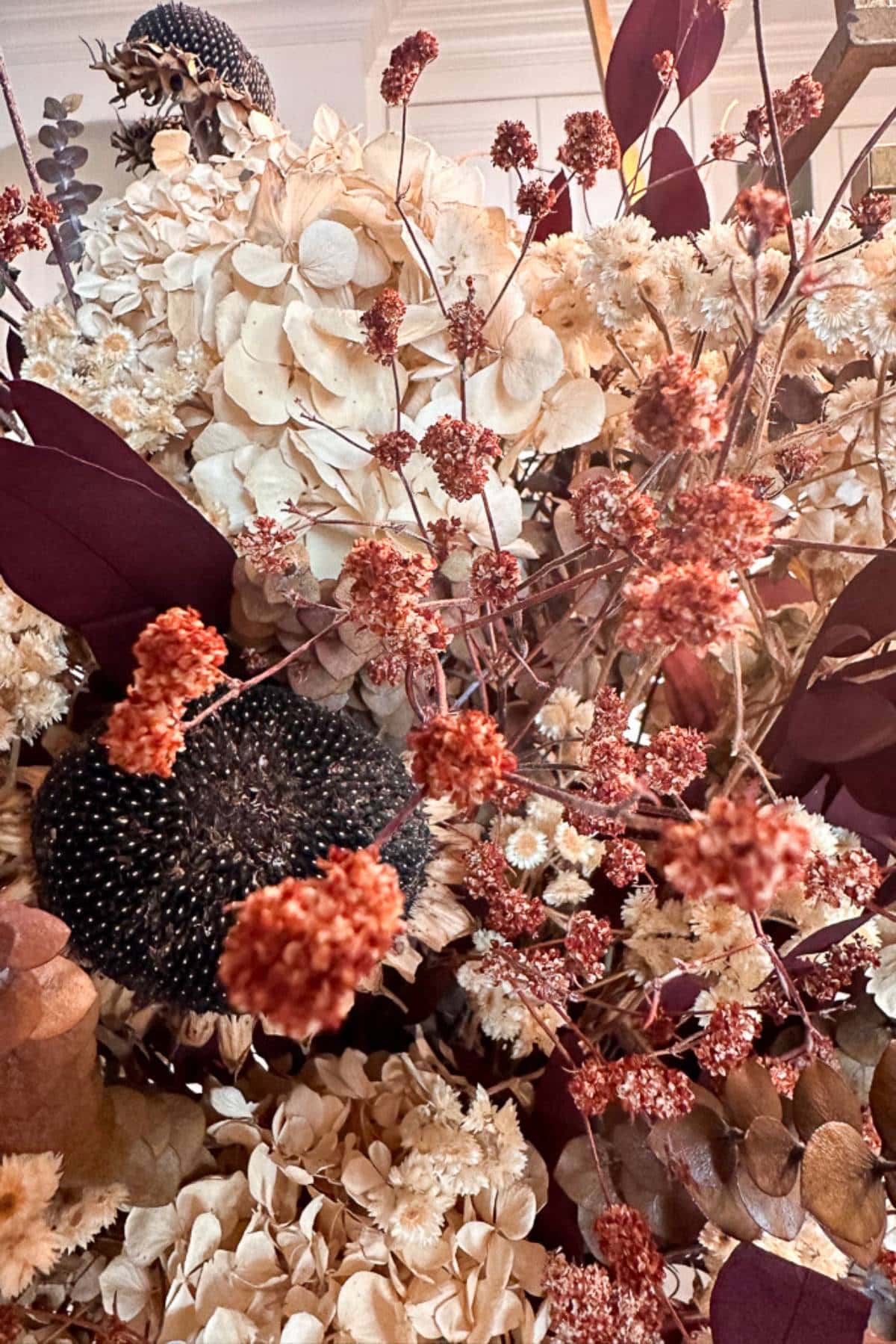 A close-up of a dried floral arrangement featuring light beige hydrangeas, reddish-pink clusters, and dark brownish-red leaves. The combination creates a textured and visually rich display in warm, earthy tones.