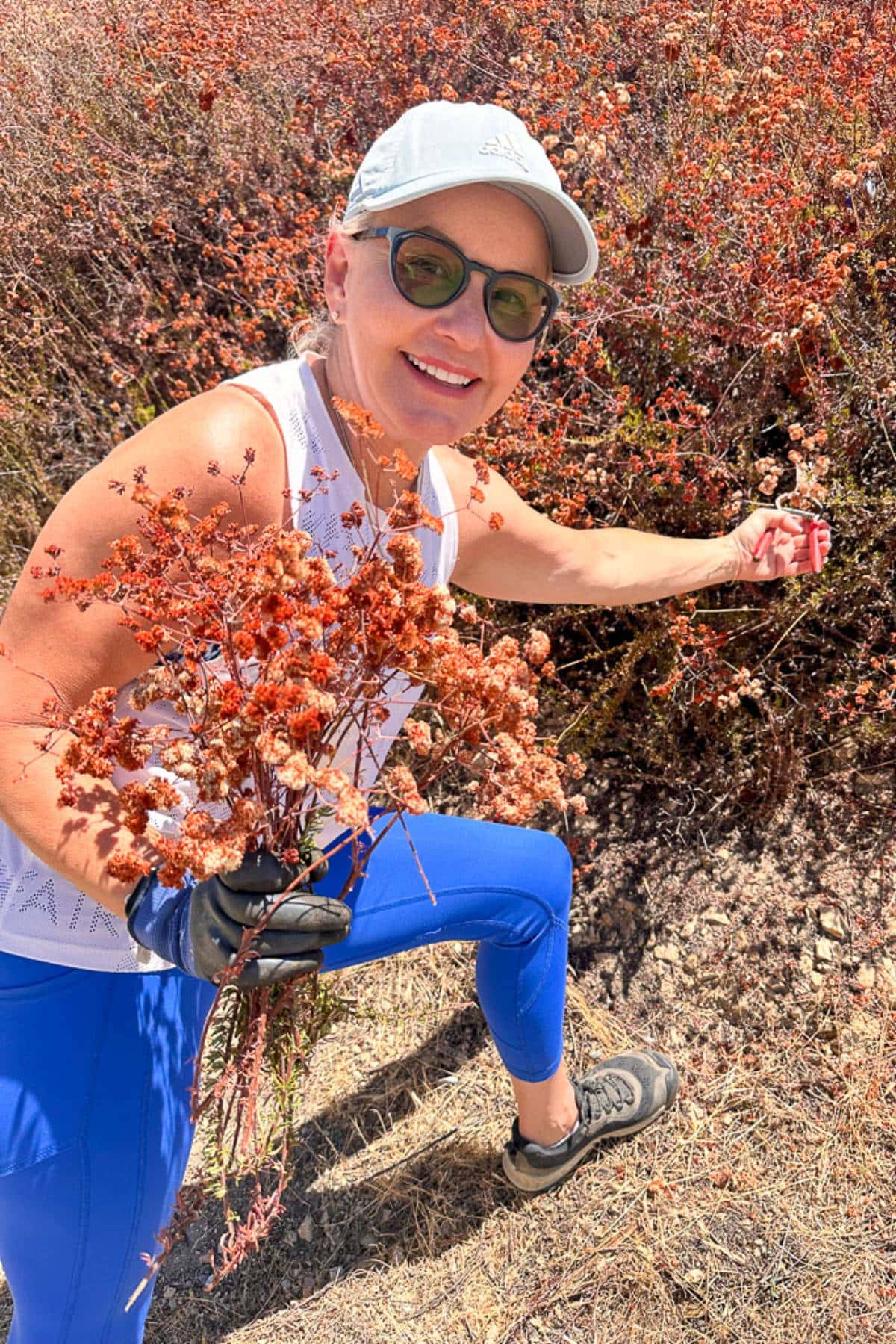 A woman wearing a white sleeveless top, blue leggings, a white cap, and sunglasses is smiling as she collects orange-red wildflowers from a bush. She is crouching in an open field covered with dry grass and bushes, holding a bunch of the wildflowers in one hand.