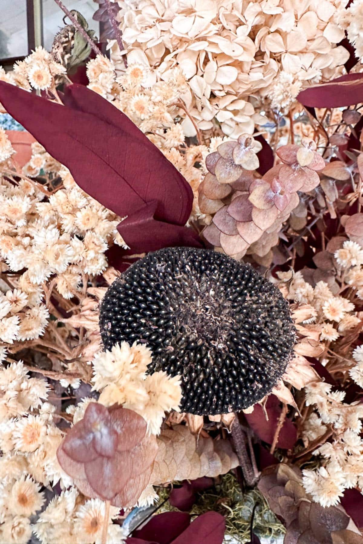 Close-up of a mixed floral arrangement featuring a large dried sunflower head surrounded by dried pale beige hydrangeas, small white flowers, and burgundy leaves. The textures and muted colors give the arrangement an autumnal feel.