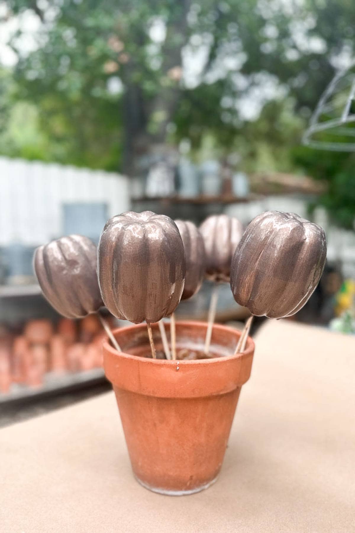 A terracotta pot holds several dark-colored, bulbous objects on sticks, resembling flower buds, doubling as spooky Halloween decorations. The background features greenery and blurred elements, suggesting an outdoor setting perfect for a festive Halloween table.