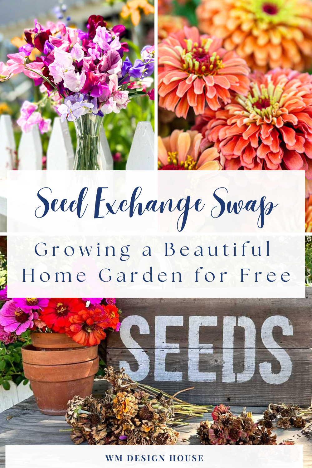 Seed Exchange Swap: Growing a Beautiful Home Garden for Free