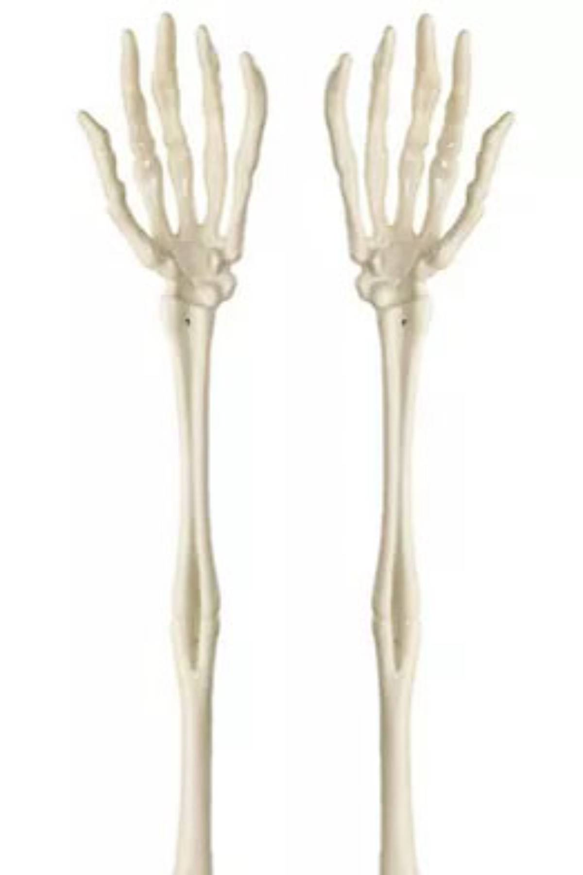 Two skeletal forearms, including hands and wrists, are shown upright and side by side with fingers spread, reminiscent of DIY Halloween place card holders. The image is on a plain white background, perfect for inspiring spooky Halloween decorations.