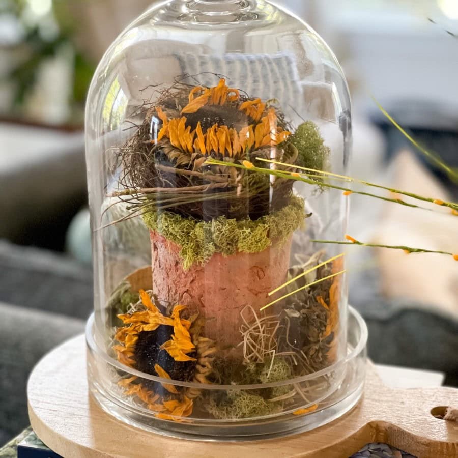 A decorative display housed under a clear glass bell jar. Inside, there are dried orange flowers, green moss, and natural twigs arranged creatively around a rustic cylindrical base, resembling a tree trunk. The jar is placed on a round wooden board.