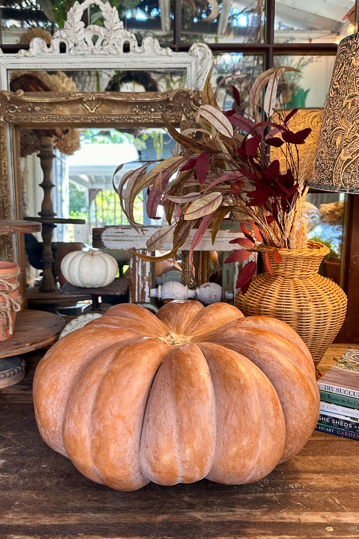 A large, orange pumpkin sits on a wooden table adorned with decorative items, including a mirror, a wicker vase with autumn leaves, and a stack of books. The scene is completed by a smaller white succulent pumpkin and the warm glow from the bright window in the background.