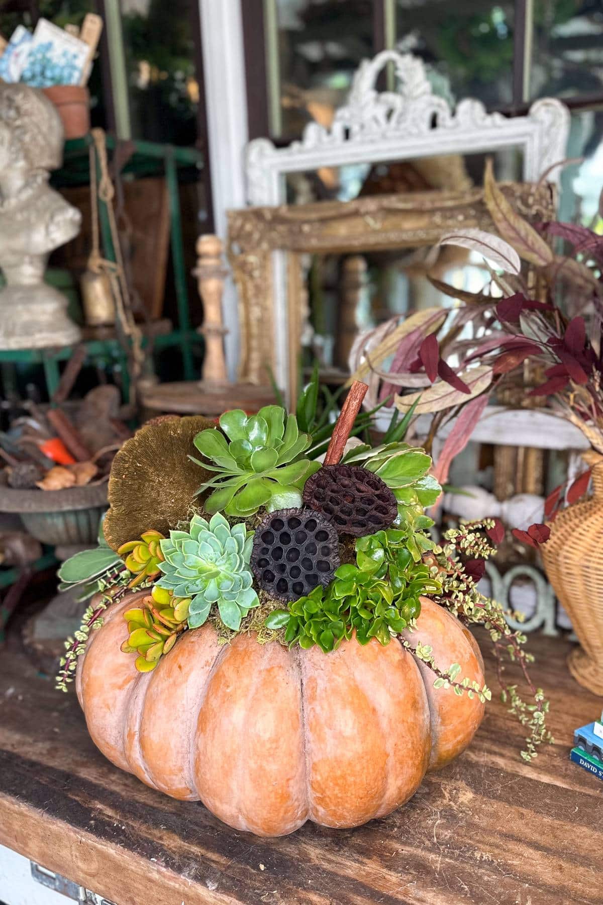 A rustic Cinderella pumpkin centerpiece contains various succulents and dried seed pods. It's set on a wooden table in front of a vintage mirror, surrounded by eclectic decor and greenery.