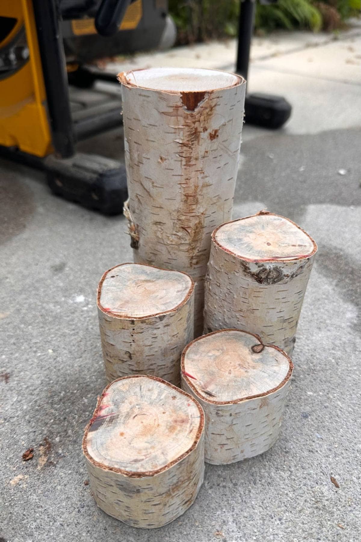 Five cut birch logs of varying heights are stacked on a concrete surface. A wood splitter can be seen in the background.