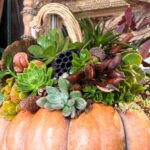 A succulent pumpkin centerpiece, adorned with dried lotus pods, pine cones, and foliage, creates an autumn-themed arrangement. This decorative piece is set against rustic wooden elements for a warm seasonal touch.