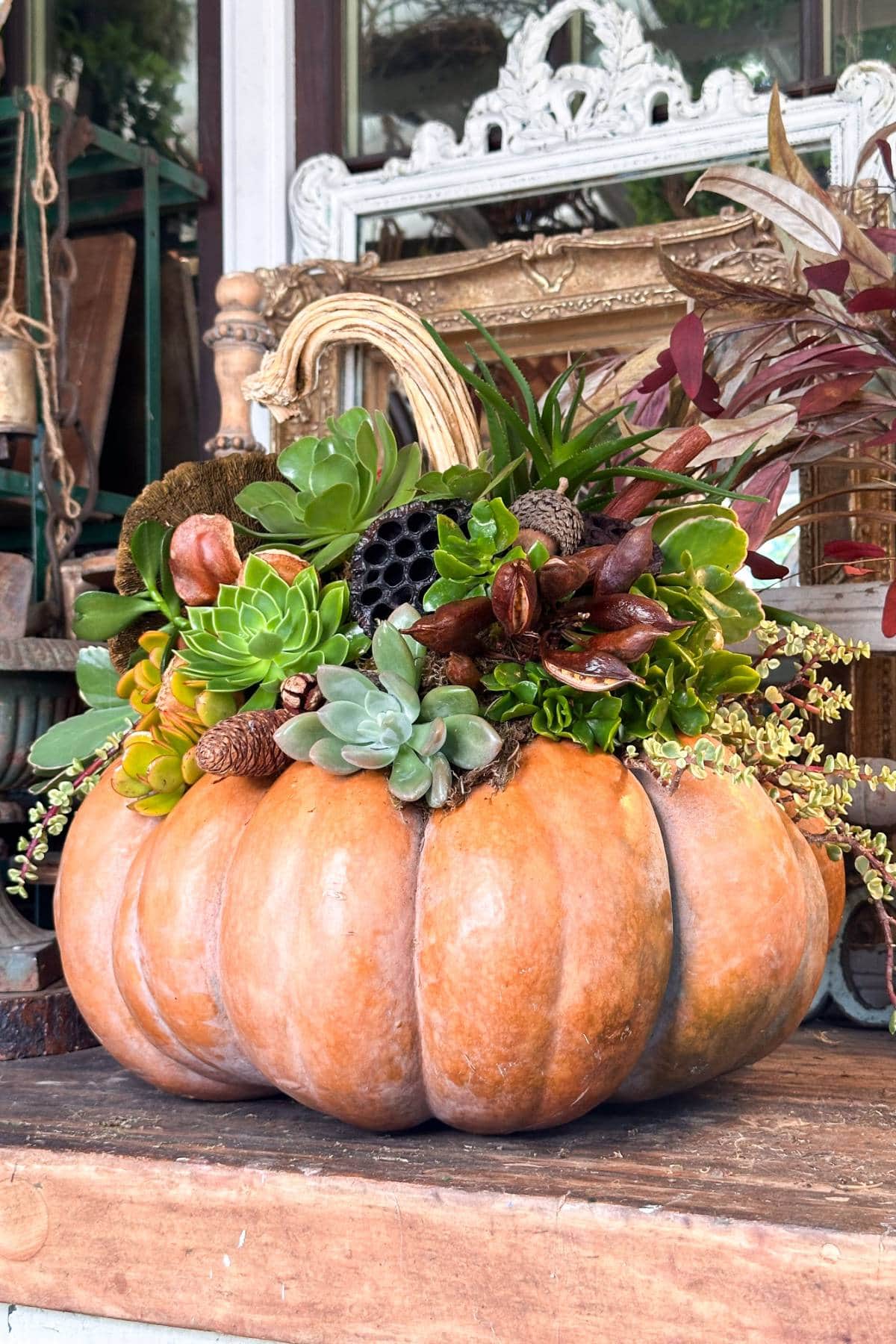 A large, orange pumpkin is used as a planter for a variety of succulents and greenery. The arrangement includes vibrant green and dark red plants, accented by pine cones and dried lotus pods, all set on a wooden table.