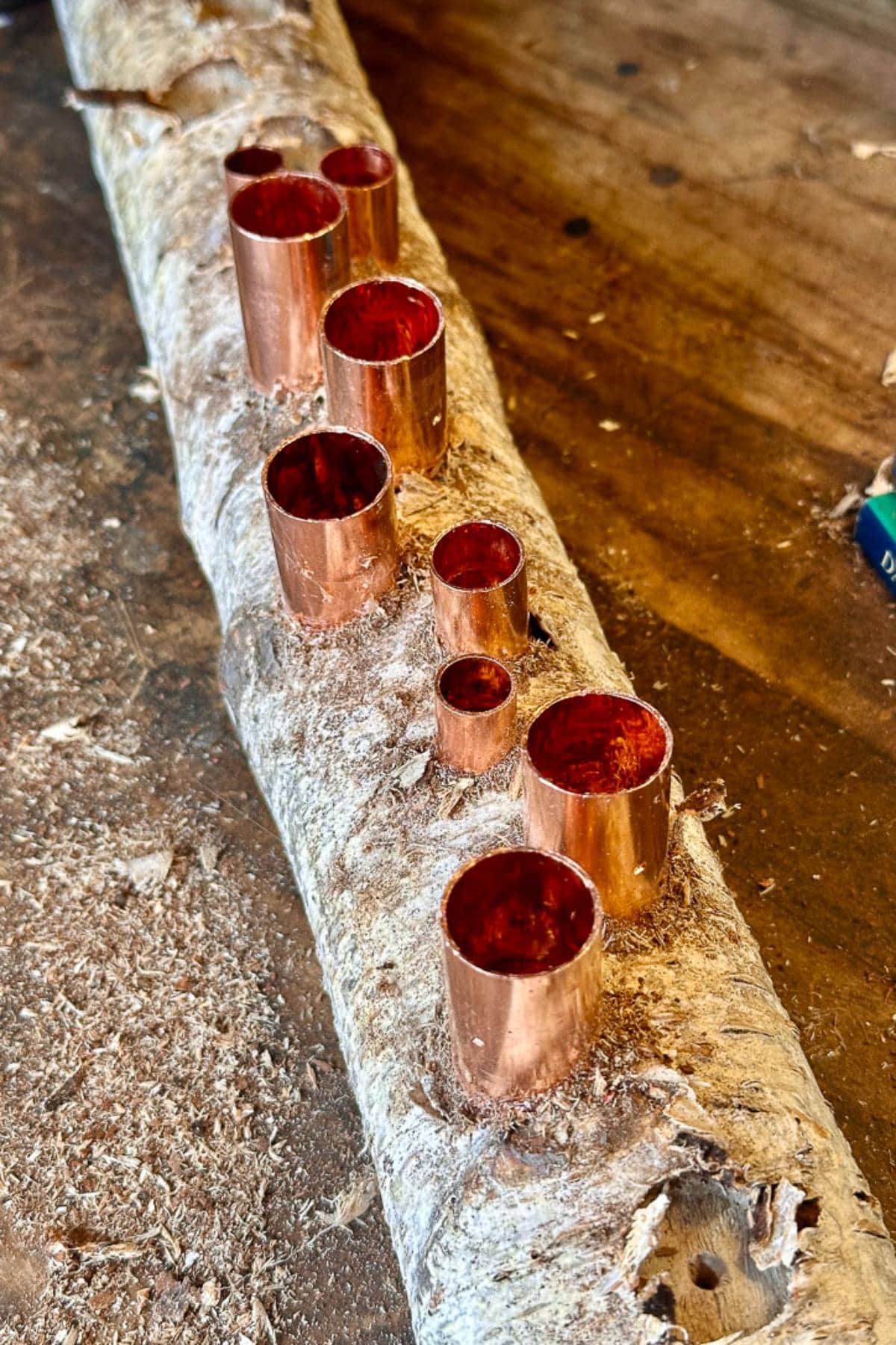 A thick piece of birch wood lies on a table, embedded with variously sized copper pipes standing upright, creating a unique arrangement. The surface is surrounded by wood shavings, suggesting a recent woodworking project.