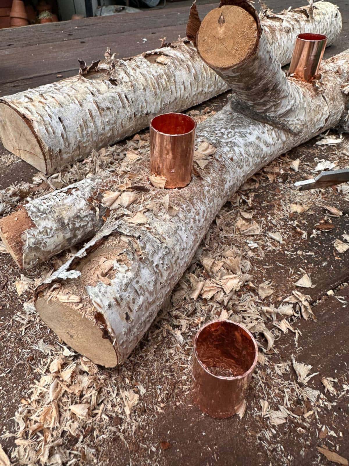 A wooden log with three branches lies on a surface, each branch has a cylindrical section hollowed out and filled with a copper insert. Wood shavings are scattered around, and a tool is partially visible on the right.