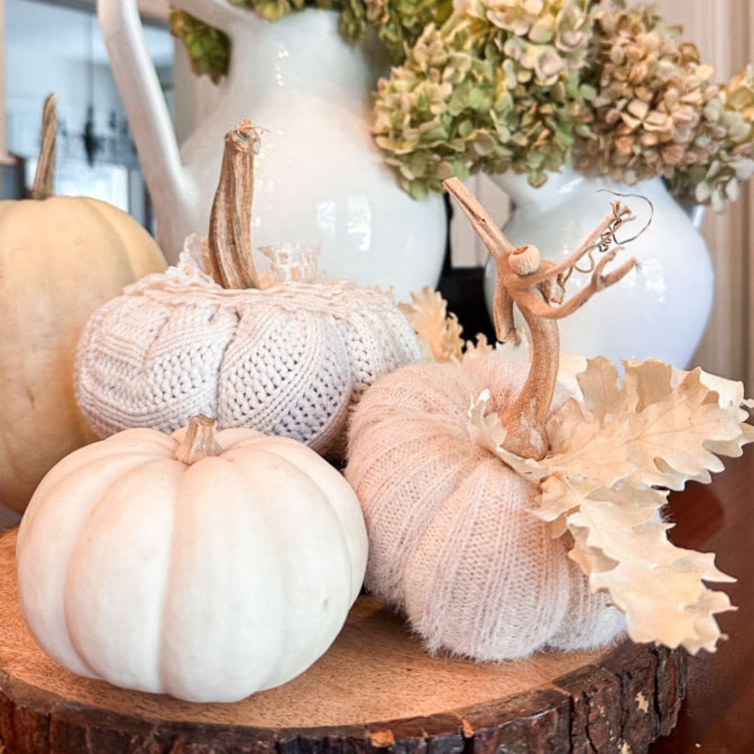 A decorative display showcases three white pumpkins, two wrapped in textured fabric, perched on a wooden slice. In the background, a white ceramic pitcher and dried hydrangeas evoke an autumnal atmosphere reminiscent of September 2024.