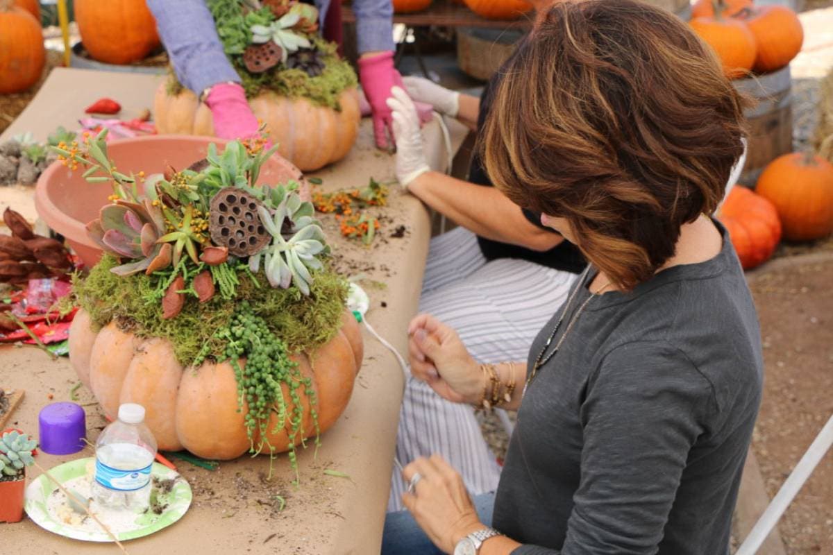 Two women creating fall centerpieces with pumpkins, succulents, and moss at a table. One woman wears gloves, arranging plants, while the other watches. Pumpkins and materials are scattered around, creating a lively, seasonal atmosphere.