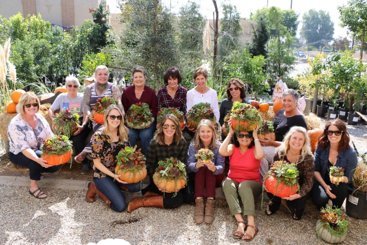 A group of people sitting and standing outdoors, each holding a succulent arrangement in a pumpkin. The background features plants and trees. Everyone is smiling and dressed casually.